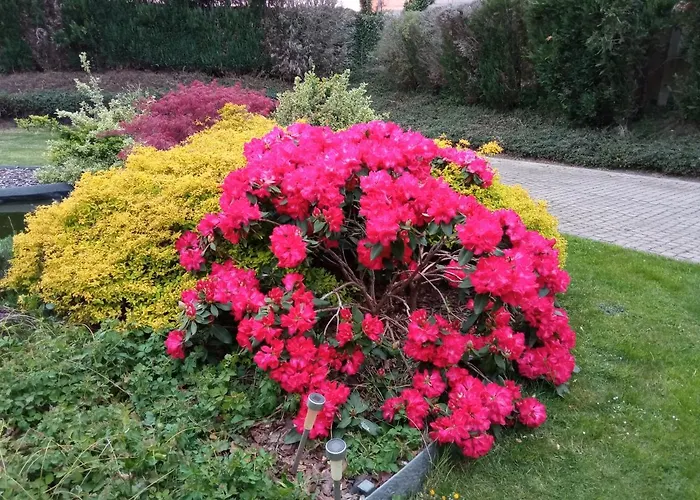 Le Moulin De Nancy Pensjonat Hour