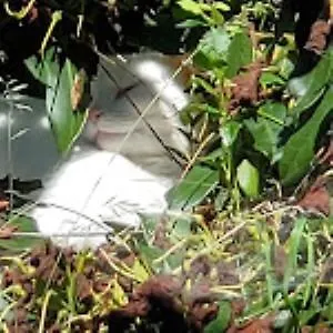 Le Moulin De Nancy Pensjonat Hour